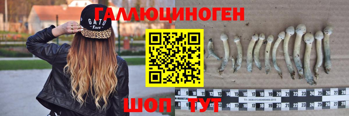 Галлюциногенные грибы Cubensis  Вход с VPN  Партизанск 